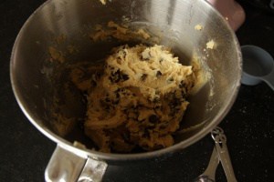 Finished Chocolate Chip Cookie Dough