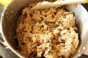 Oatmeal Cookies - stir in the raisins