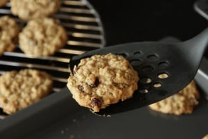 Oatmeal Cookie on a spatula