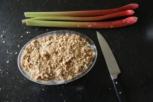 Rhubarb Crisp - fast & easy yet such a treat!