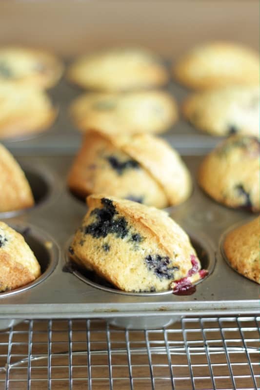 Blueberry Sour Cream Muffins from Living on Cookies