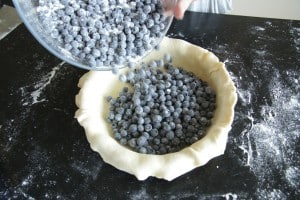 Blueberry Pie