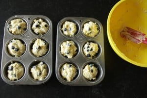 Blueberry Sour Cream Muffins