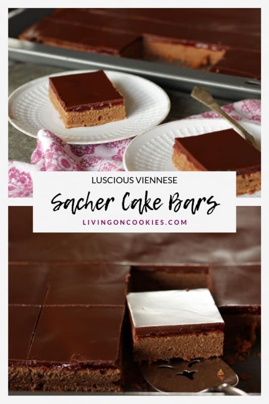 These Sacher Cake Bars have all the elements of a traditional Viennese Sacher Torte but are so much easier to make and even more delicious. They're perfect for transporting and everyone loves them!