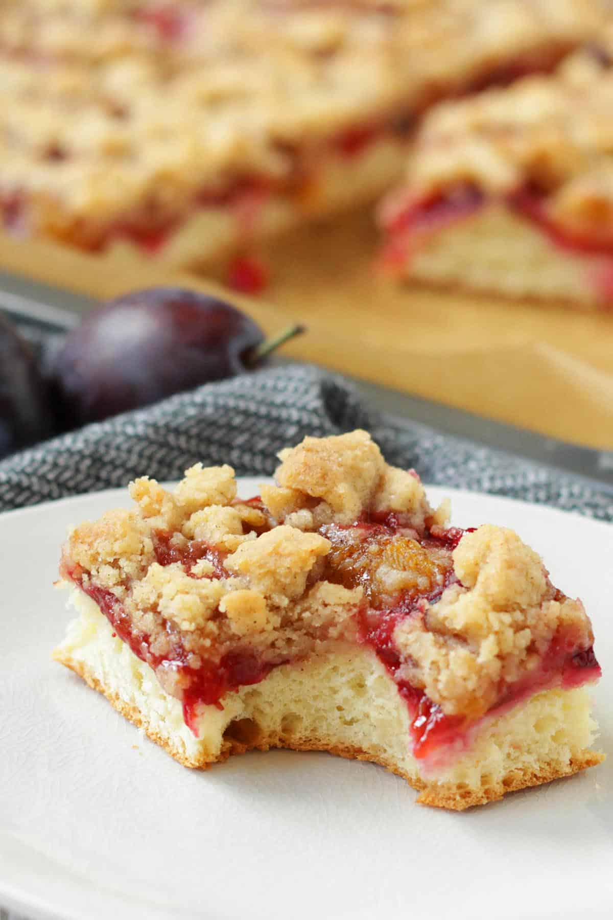 21 Plum Recipes That You Can Make At Home - Minneopa Orchards