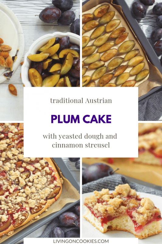 dimply plum cake | one cake two cake